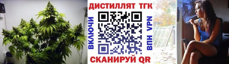 магазин продажи наркотиков  Красавино  ТГК Wax 